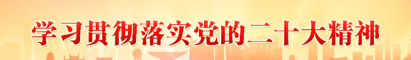 學習貫徹落實黨的二十大精神